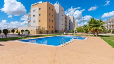 Pis – Orihuela - Vista 2