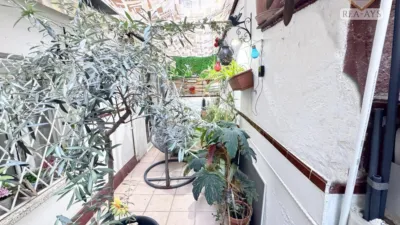 Apartment in Can Sant Joan photo 17