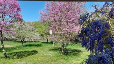 Chalet in Pereiro Aguiar photo 31