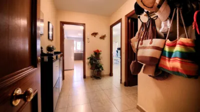 Apartment on Argentina Street photo 3