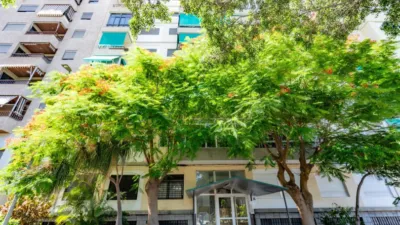 Apartment on Rambla de Santa Cruz photo 51