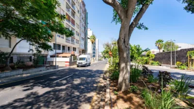 Apartment on Rambla de Santa Cruz photo 53