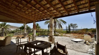 Casa – Elx - Elche - Vista 2