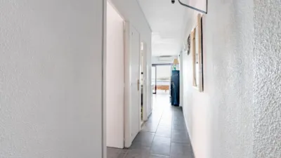Apartment in Magaluf photo 4