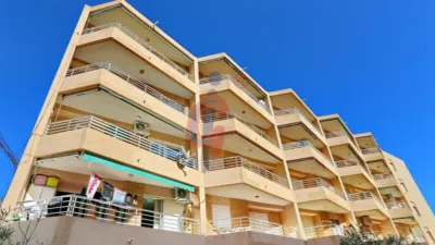 Pis – Guardamar del Segura, Urbanització Pinar de Guardamar - Vista 4