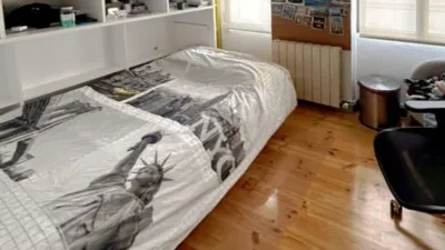 Penthouse on Calle de la Alameda photo 38