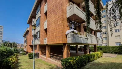 Apartment in Los Castros photo 41