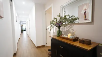 Apartment on Rafael Asín Street photo 3