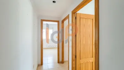 Apartment in La Alfoquia photo 15