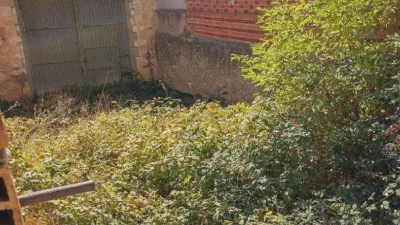 Rustic house in Corrales de Duero photo 3