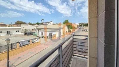 Apartment in La Alfoquia photo 20