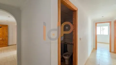 Apartment in La Alfoquia photo 25