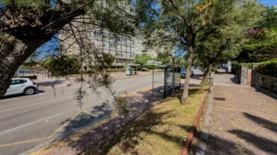 Apartment in Los Castros photo 45