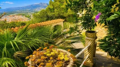 House on Carrer de Pau Vila photo 36