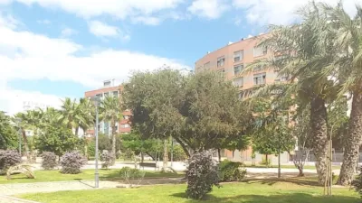 Apartment on Calle Miguel Vivancos, 2 photo 17