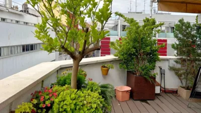 Penthouse on Calle de la Alameda photo 8