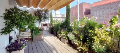 Penthouse on Calle de la Alameda photo 31