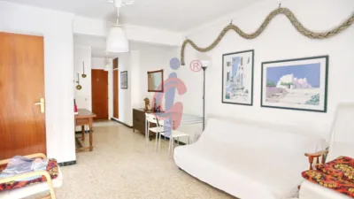 Pis – Guardamar del Segura, Urbanització Pinar de Guardamar - Vista 2