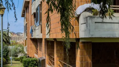 Apartment in Los Castros photo 40