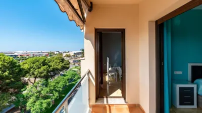 Apartment in Ejido Oeste photo 3