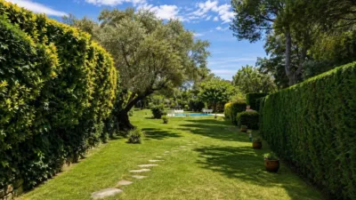 Apartment in Carrer de Kaminies photo 3