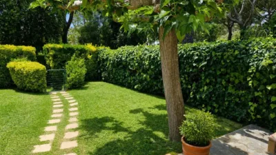 Apartment in Carrer de Kaminies photo 2