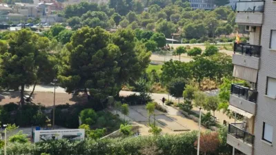 Apartment in Poniente photo 35