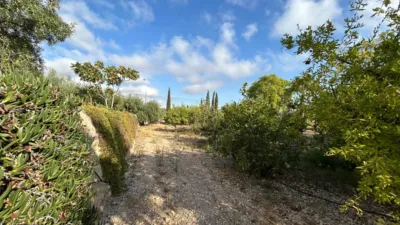 Chalet on Horna Baja Street photo 14