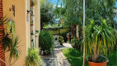 Apartment in Zurita photo 23