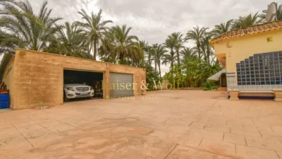 Rustic finca on Partida Hoya street photo 77