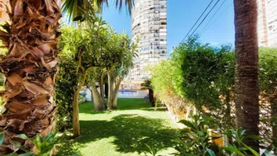 Apartment in the City Centre photo 22