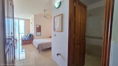 Apartment on Avenida de José Miguel Galván Bello photo 9