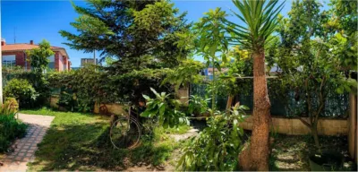 Apartment in Zurita photo 22