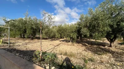 Chalet on Horna Baja Street photo 15