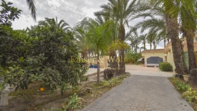 Rustic finca on Partida Hoya street photo 17