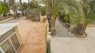 Rustic finca on Partida Hoya street photo 49