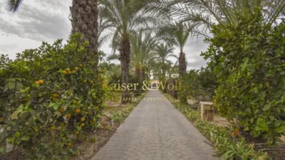 Rustic finca on Partida Hoya street photo 8
