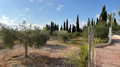 Chalet on Horna Baja Street photo 8