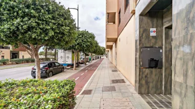 Apartment in Ejido Oeste photo 27