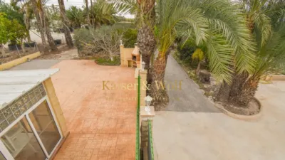 Rustic finca on Partida Hoya street photo 79