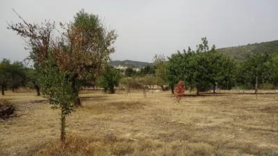 Finca rústica en alquiler en Lloseta, Lloseta de 3.000 €<span>/mes</span>