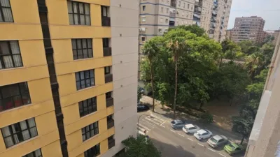 Apartment in Plaza de Honduras photo 16