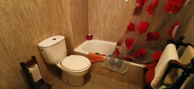 Apartment in Poniente photo 14