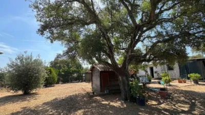 House in Andalusia photo 2
