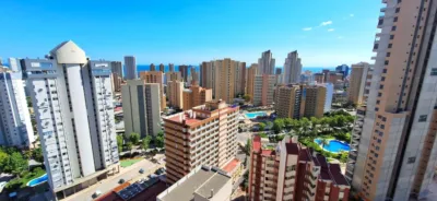 Apartment in Rincon de Loix photo 41