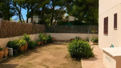 Apartment in Cala Ratjada photo 2