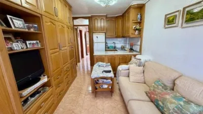 Apartment on Carrer Bogavante photo 3