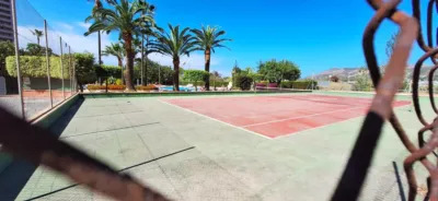 Apartment in Rincon de Loix photo 48