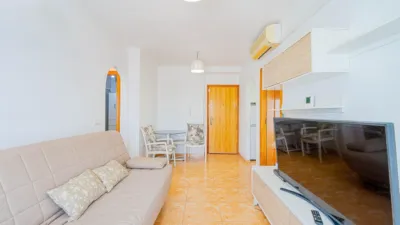 Pis – Torrevieja - Vista 5