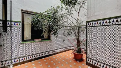Apartment in Alameda photo 45